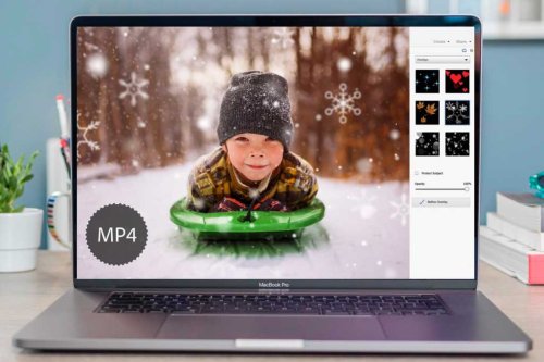 Adobe Photoshop Elements 2024 review: Still one of the best