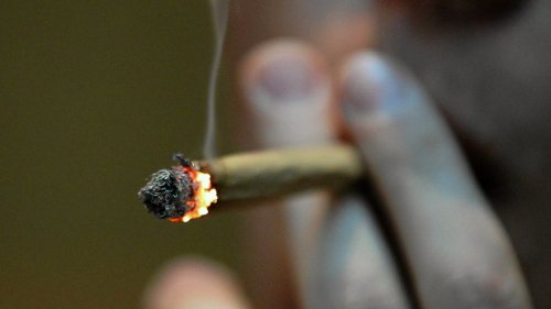 Staatsrechtler fordert Volksentscheid zu Cannabis-Freigabe