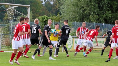 TSV Wendezelle setzt positiven Trend fort
