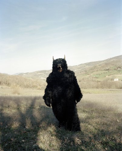 Carlo Lombardi’s La Carne Dell’Orso investigates the conservation of the marsican bear in Italy - Pellicola Magazine