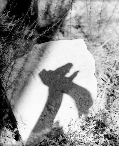 Teofanie: Eleonora Paciullo attempts to reshape the past of her land - Pellicola Magazine