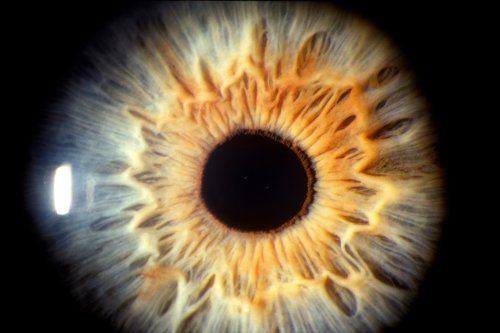 Scientists say there is a new color. There’s only one place in the world where you can see it