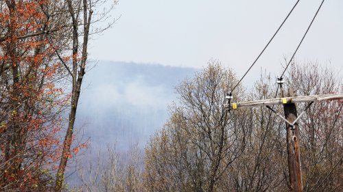 Brush fire closes Route 225 in Northumberland County