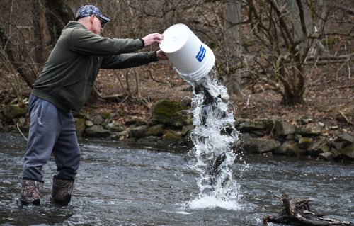 How are Pennsylvania fishing license sales doing this year?