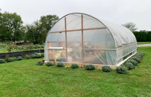 Could a high tunnel supercharge your veggie garden?