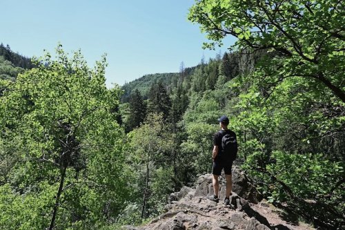 5 Urlaubsregionen in Deutschland zum Wandern
