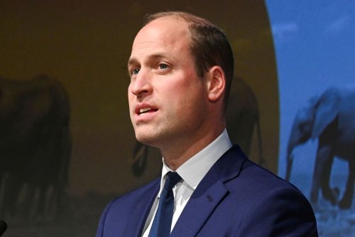 Prince William Praises the 63-Month Sentence Given to Wildlife Trafficker: 'Significant Victory'