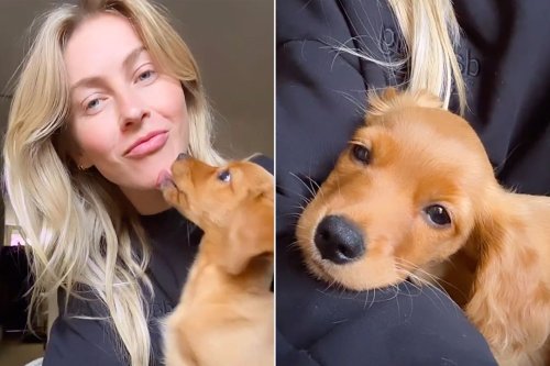 Julianne Hough Introduces Her New Puppy Sunny to the World: 'I Love You so Much'
