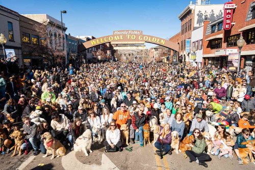 Over 1,000 Golden Retrievers Fill the Streets of Colorado Town for 'Goldens in Golden' Event