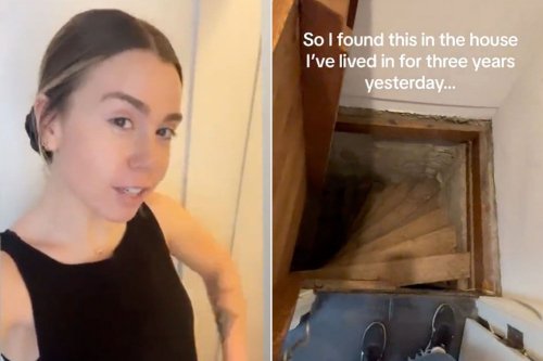 Woman Finds Trap Door in Home After Living There for 3 Years: 'The House Is Definitely Inhabited'