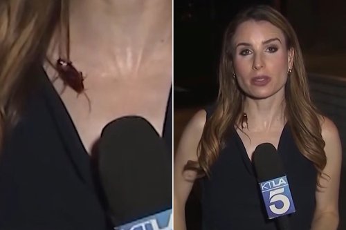 TV Reporter Stays Calm as Cockroach Interrupts Live Broadcast and Crawls Across Her Skin