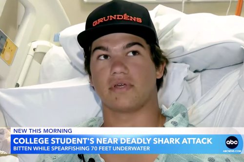 College Student 'Blindsided' By Shark Bite While Fishing — One Of 2 ...