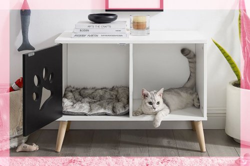 8 Cozy Cat Beds That Double as Stylish Furniture for Humans, Starting at $44