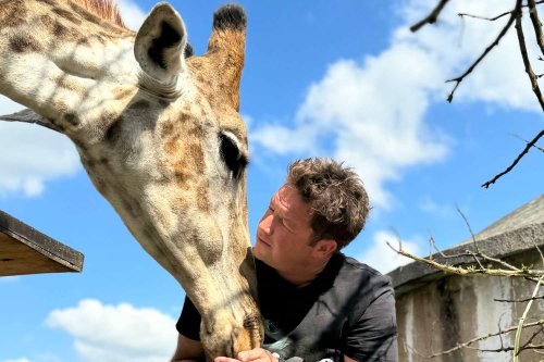 Widow of Famous Conservationist Killed by Snake Bite Says He'd Want Her to 'Live Each Day Like a Gift' (Exclusive)