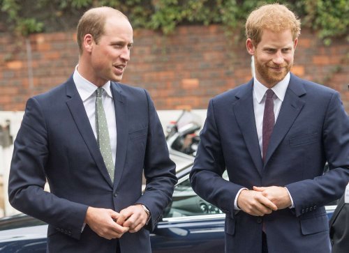 Prince William Reacts to Harry's Engagement: 'I Hope It Means He Stays Out of My Fridge!'