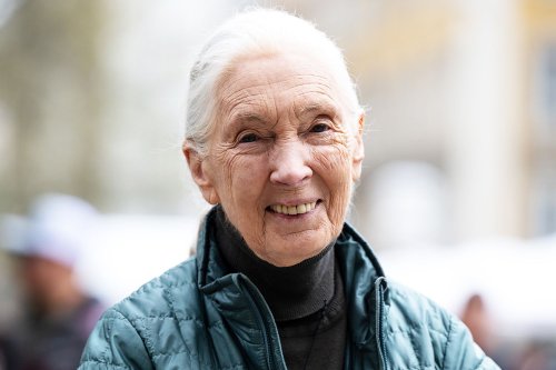 90th Birthday Queen Jane Goodall Lives in Childhood Home with Sister When She’s Not 'Busier Than Ever' Spreading Hope (Exclusive)