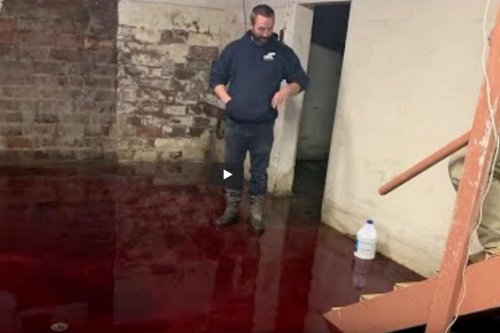 Iowa Family Discovers Blood Seeping Into Their Basement from Neighboring Slaughterhouse