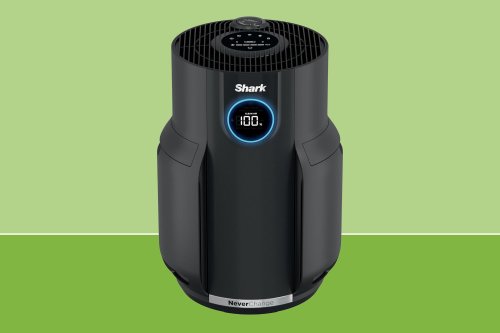 This Shark Air Purifier Erases the Bacon Smell from My House in an Hour After I Cook Breakfast