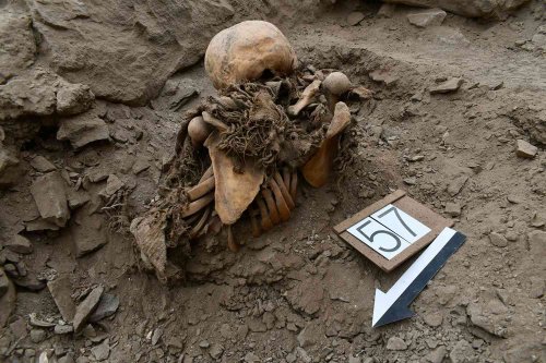 Remains of 24 Battle Victims Discovered in Mass Burial Site by Archeologists