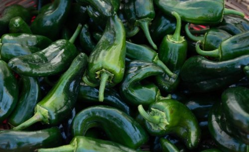 Poblano Vs. Bell Pepper - How Do They Compare?