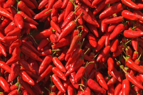 What's A Good Calabrian Pepper Substitute?