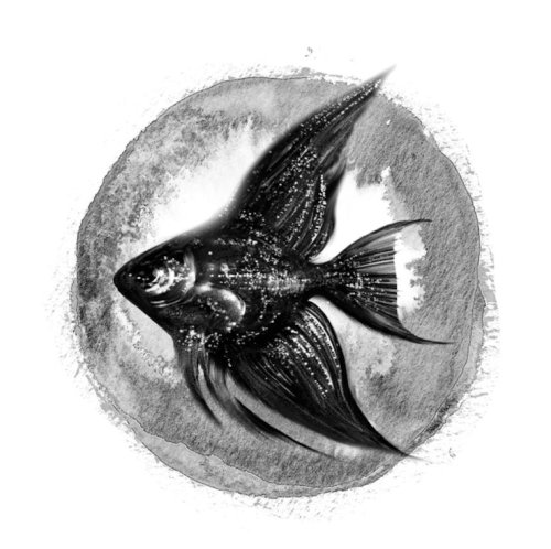 Küçük Kara Balıklar: Bir Varmış Bir Yokmuş Gerçek Hikâyelermiş Hepsi - Pera Sinema