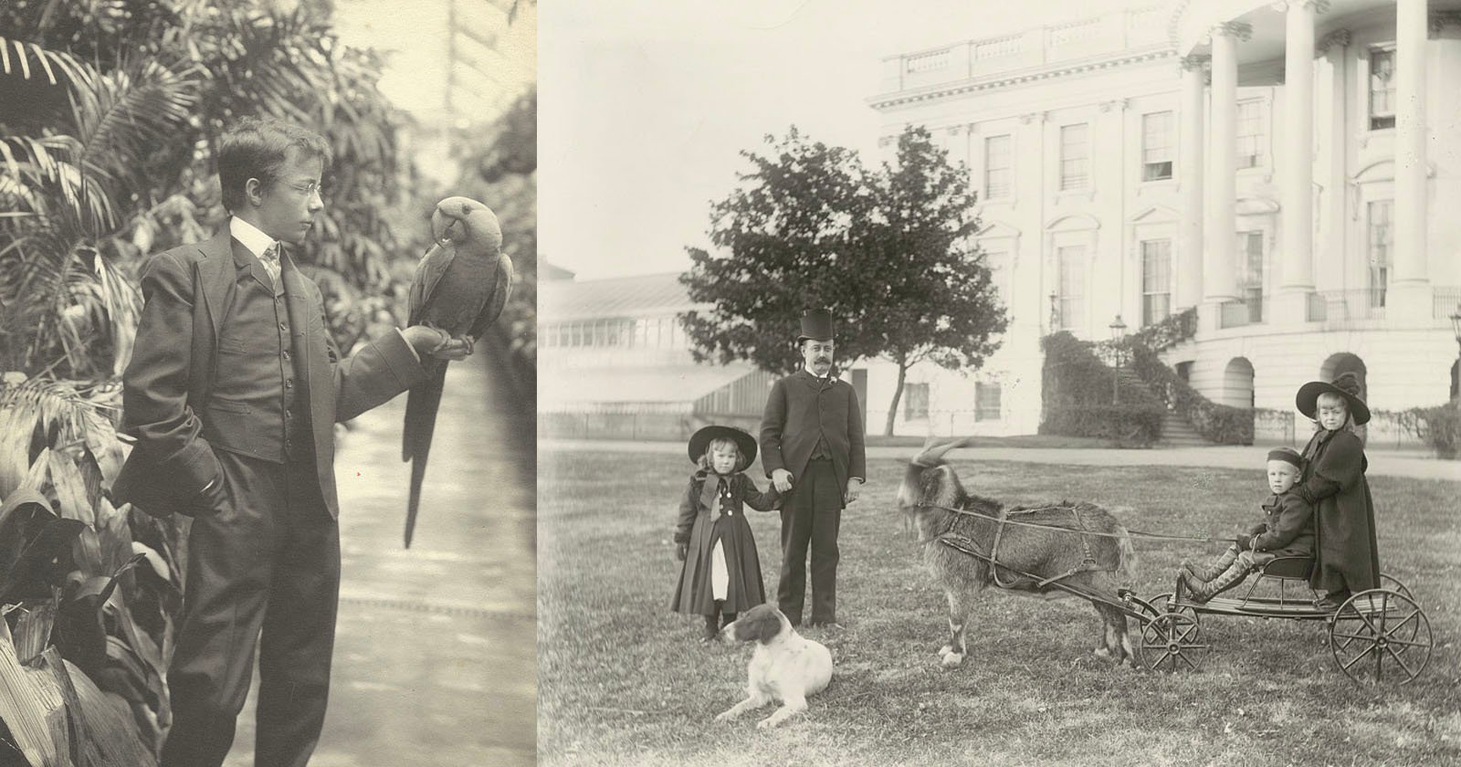 Fascinating photos of presidential pets