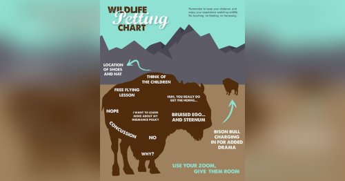 Here's a 'Wildlife Petting Chart' by the National Park Service