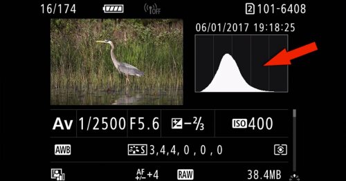A Beginner's Intro to Using Histograms to Check and Nail Exposure