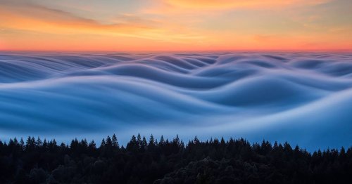 Long Exposure Photos of 'Fog Waves'