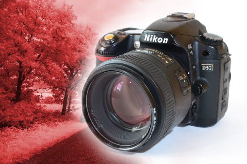 DIY: How to Turn an Old Nikon D80 Into a Permanent IR Camera in Four Easy Steps