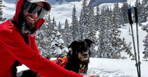 Lost Dog Spotted on Trail Camera Nearly a Year After Avalanche
