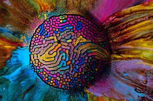 Colorful Abstract Macro Photographs Created by Injecting Watercolors Into Ferrofluid On a Magnet