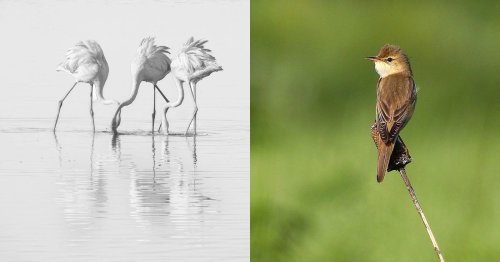 The Best Photos from GuruShots' 'The Power of Minimalism' Challenge