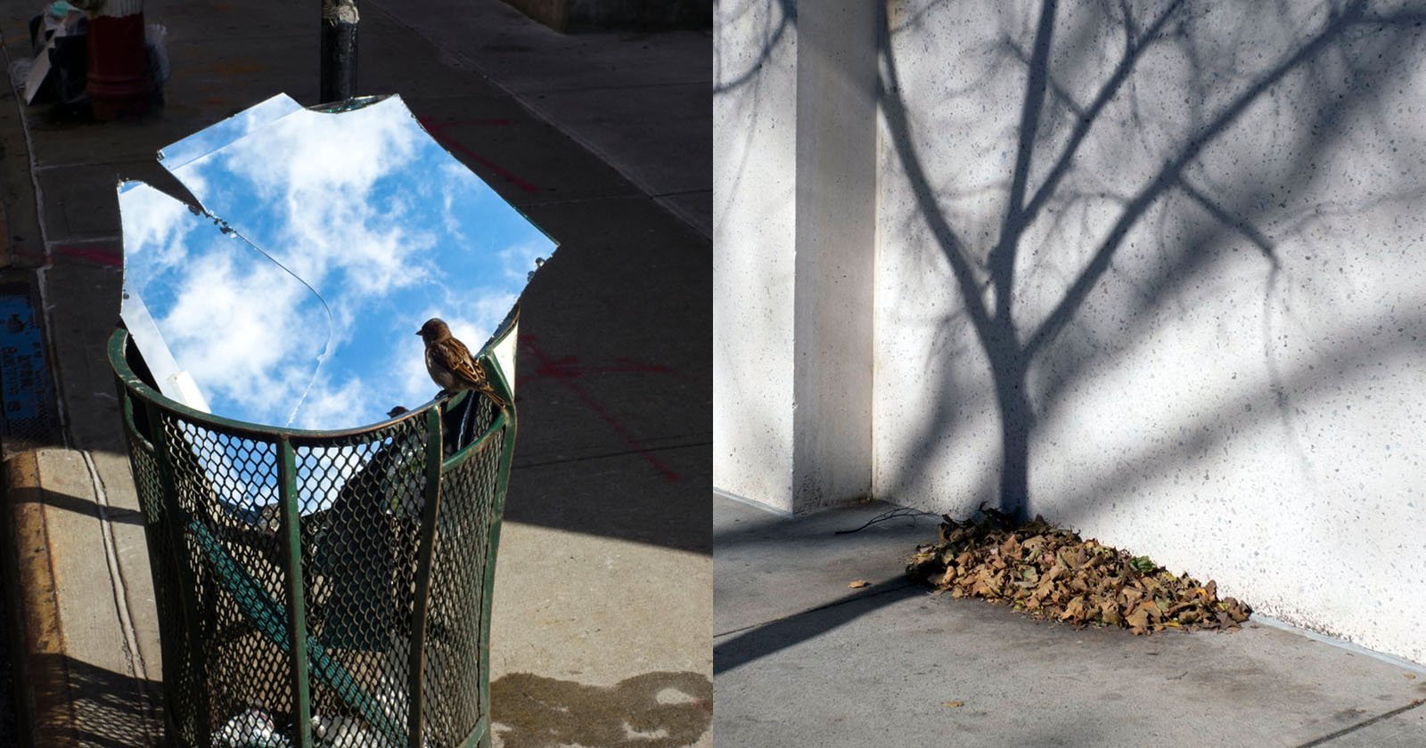 Photographer Spots Curious Coincidences on New York City Sidewalks