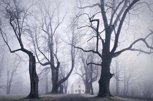 Photographer Brings the Landscapes of the Brothers Grimm to Life in Haunting Photos
