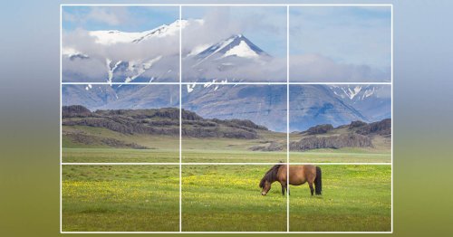 Rule of Thirds in Photography: A Complete Guide