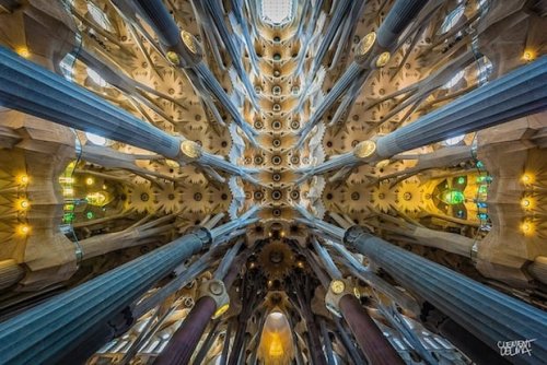 Stunning Wide-Angle Photographs of the Interior Architecture of La Sagrada Família