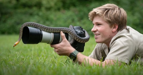 Robert Irwin: Continuing a Wildlife Conservation Legacy with a Camera