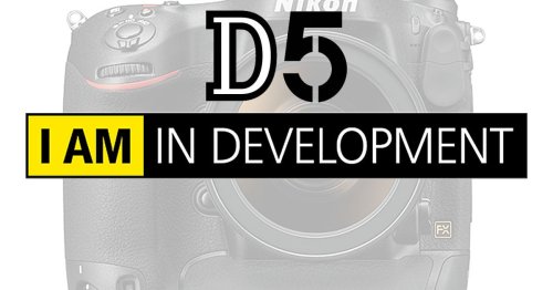 Surprise! Nikon Says It's Developing the D5