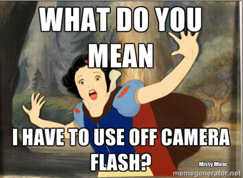 Humor: If Disney Princesses Were Photographers...