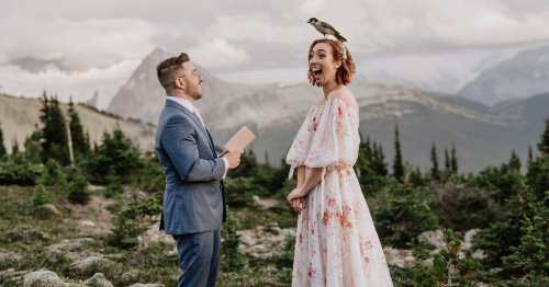 Bird Landing on Bride's Head During Vows Wins International Photo Award