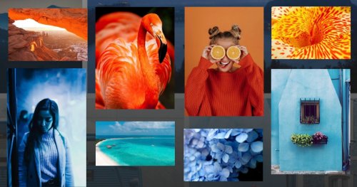 Zonerama is a Free Online Gallery with Unlimited Storage and RAW Support