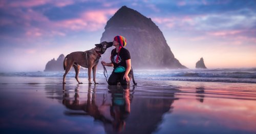 Photographer's Heroic Portraits Get Shelter Dogs Adopted