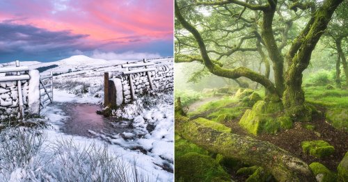 Photographer Nigel Danson Embraces the Beauty of Local Landscapes and You Should Too