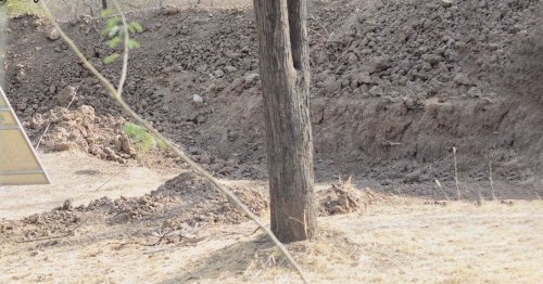 Can You Spot the Leopard in This Photo?