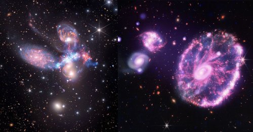 Combined Power: Chandra's X-Ray Data Added to James Webb's Photos