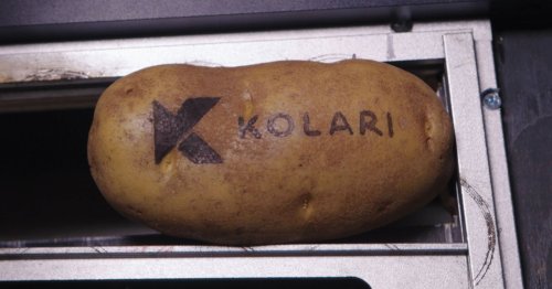Kolari Vision Takes 'Potato Quality' Photography to New Heights