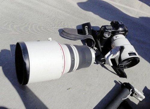 This is What Happens When a Football Player Lands on a $10,499 Canon Lens