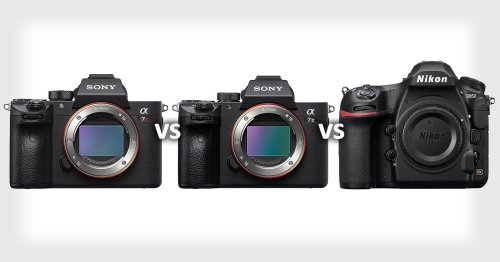 Shootout: Sony a7R III vs Sony a7 III vs Nikon D850